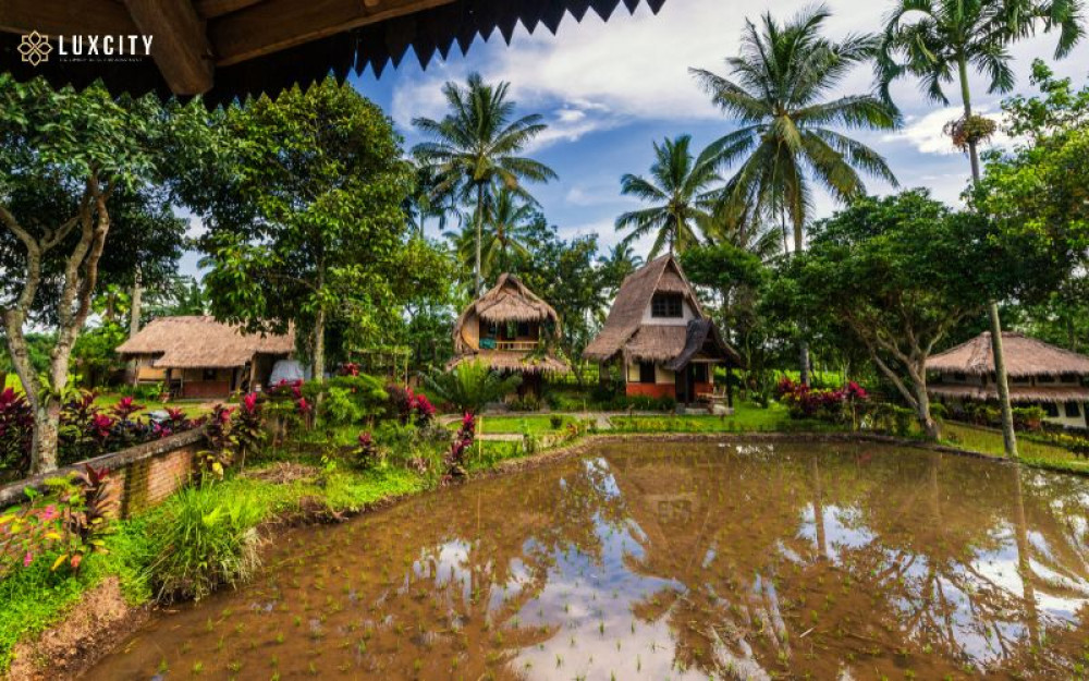 Cheapest guesthouses in Mondulkiri for your stress-free vacation [2023]