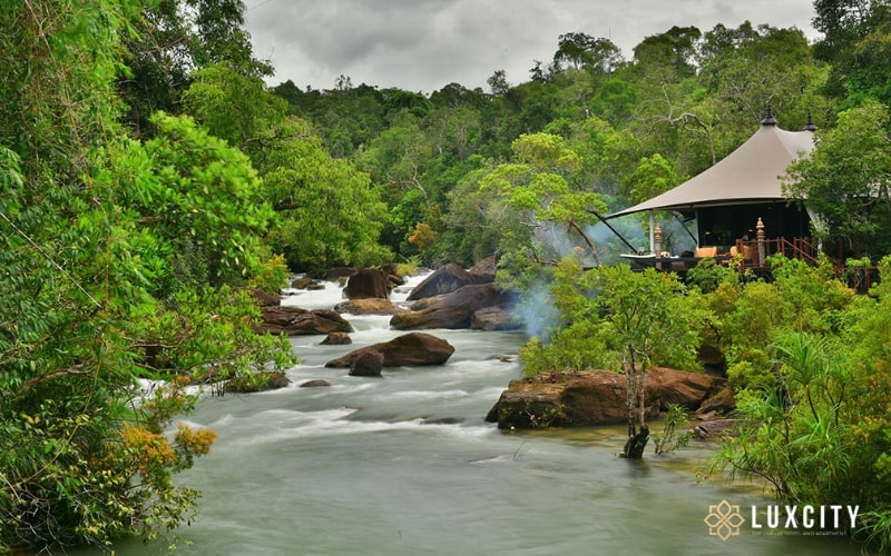 The rainforests of the Cardamom Mountains in southern Cambodia and Thailand are considered one of the most species-rich tropical rainforest ecosystems in Southeast Asia