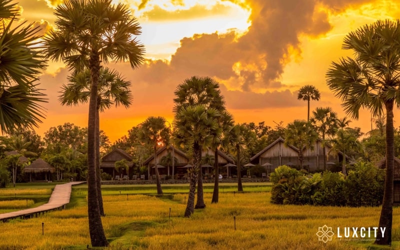 Heading to the countryside to experience the tranquil and untouched landscapes beyond the cities, temples, and museums