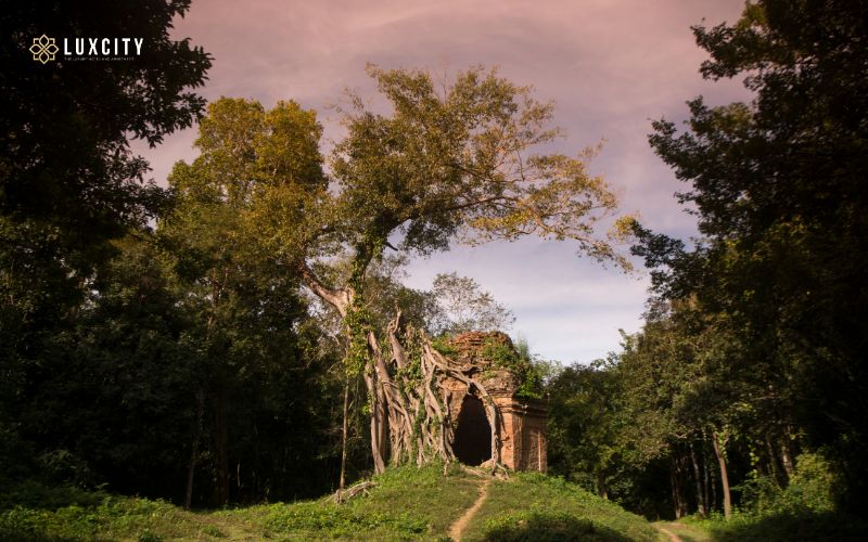 Kampong Thom province in Cambodia offers a treasure trove of experiences for travellers seeking a blend of cultural immersion, historical exploration, and natural beauty