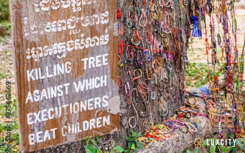 A visit to the Choeung Ek Killing Fields is essential for understanding Cambodia's history and will give you an appreciation of Cambodians' resilience